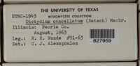 Image Associated With the Occurence